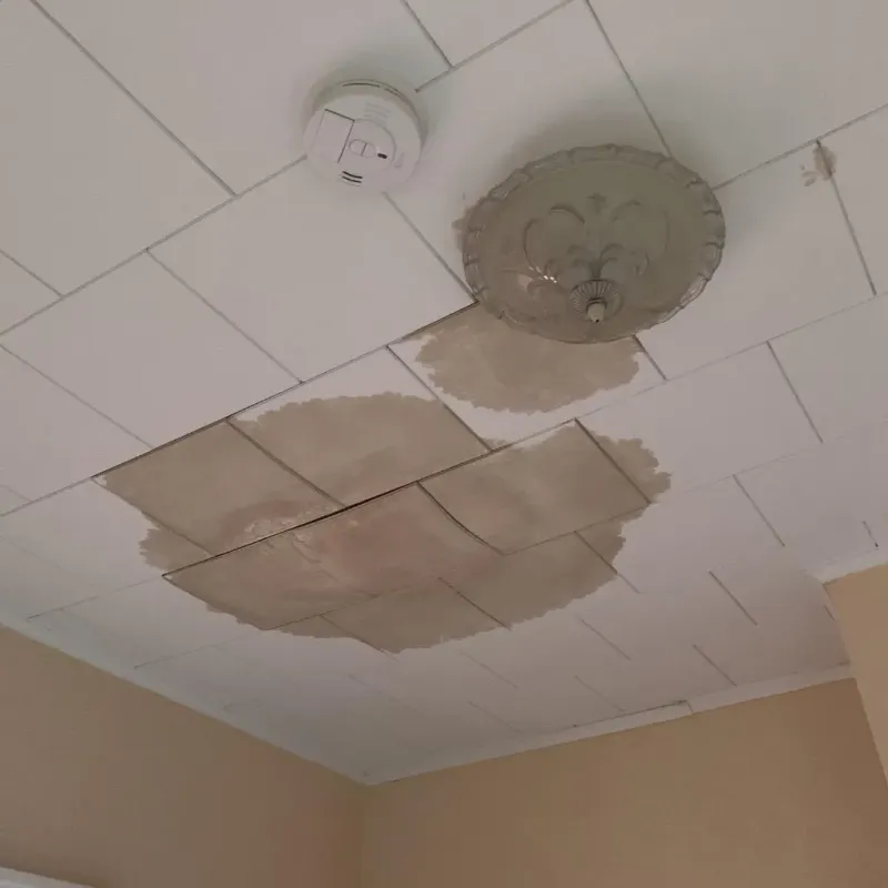 Ceiling Water Damage Repair in Cleveland, OH