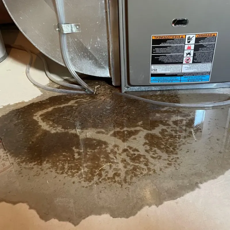Pipe Burst and Leak Restoration in Cleveland, OH